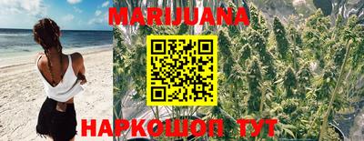 сатива Шебекино